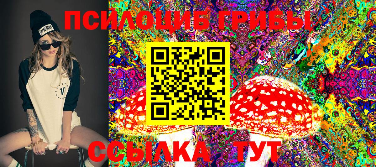 Галлюциногенные грибы Psilocybe Коломна